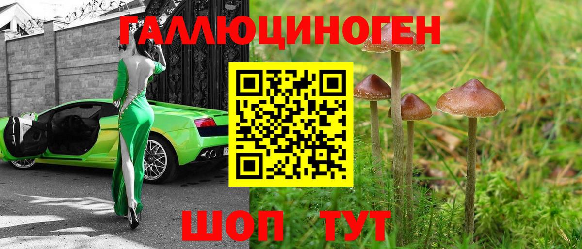 Галлюциногенные грибы прущие грибы  Вход с VPN  Павлово  Псилоцибиновые грибы Psilocybe 